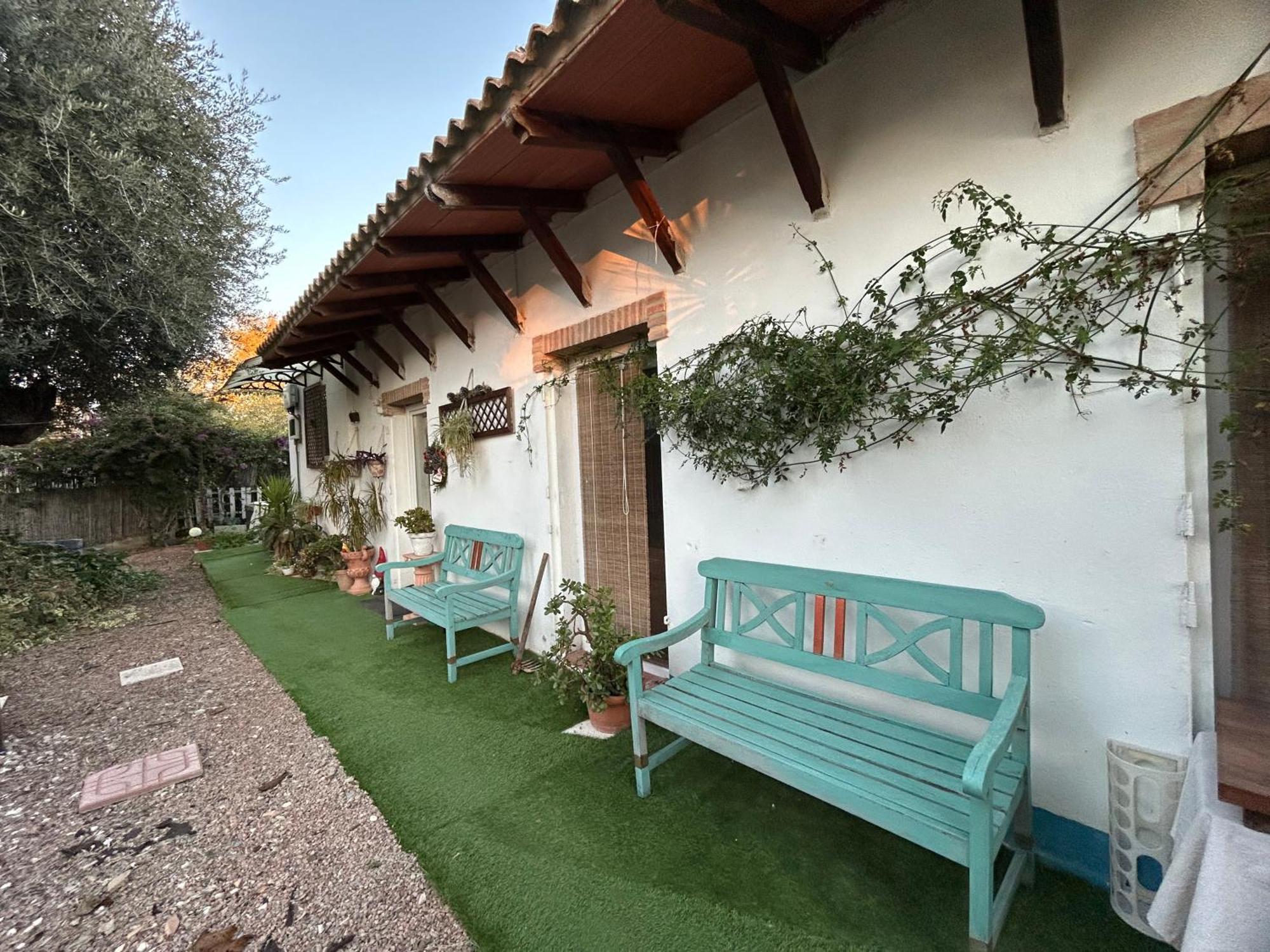Loft Independiente "La Casita Del Olivo Centenario" Cordoue Extérieur photo